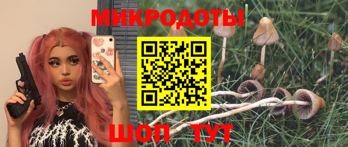 Галлюциногенные грибы GOLDEN TEACHER Серов