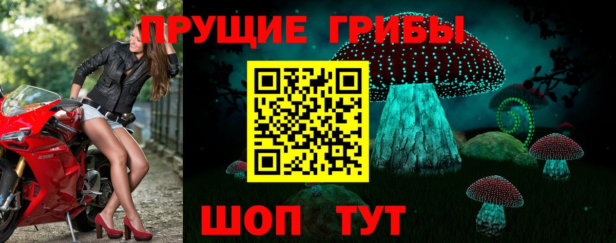 Псилоцибиновые грибы Magic Shrooms  Вход с VPN  Галлюциногенные грибы мухоморы  Серов 